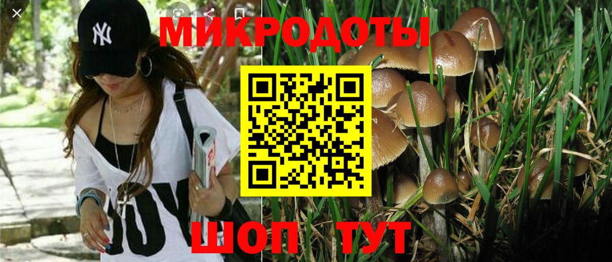 Чайковский  Галлюциногенные грибы прущие грибы  Вход с VPN 
