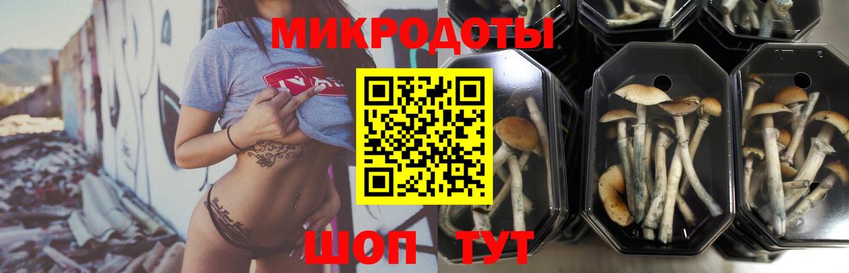 Псилоцибиновые грибы GOLDEN TEACHER Чайковский